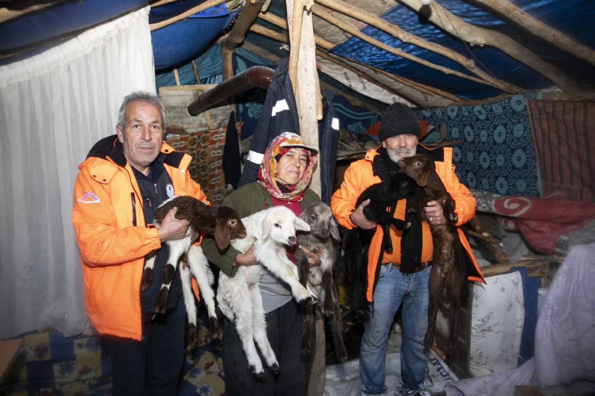 Yörük ailenin 120 hayvanı kurtarıldı