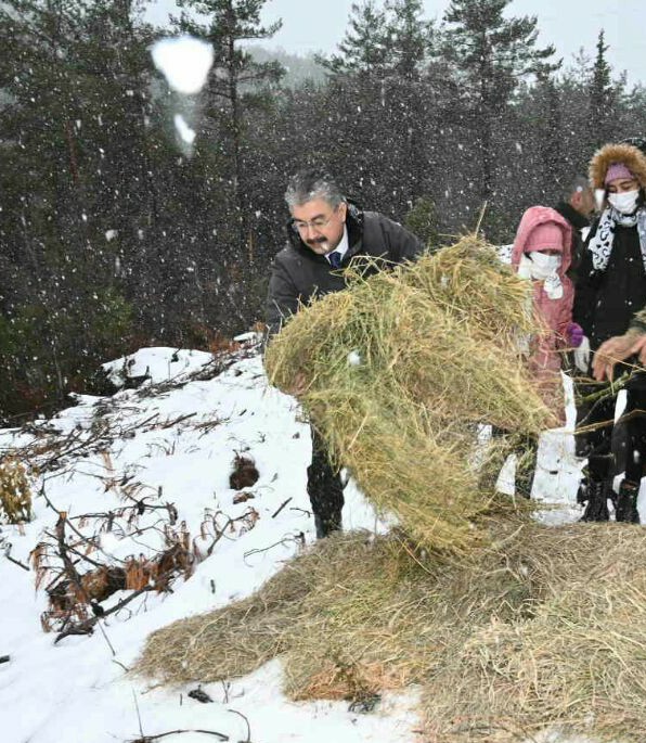 Vali Yılmaz, Olukbaşı Mevkiinde doğaya yem bıraktı