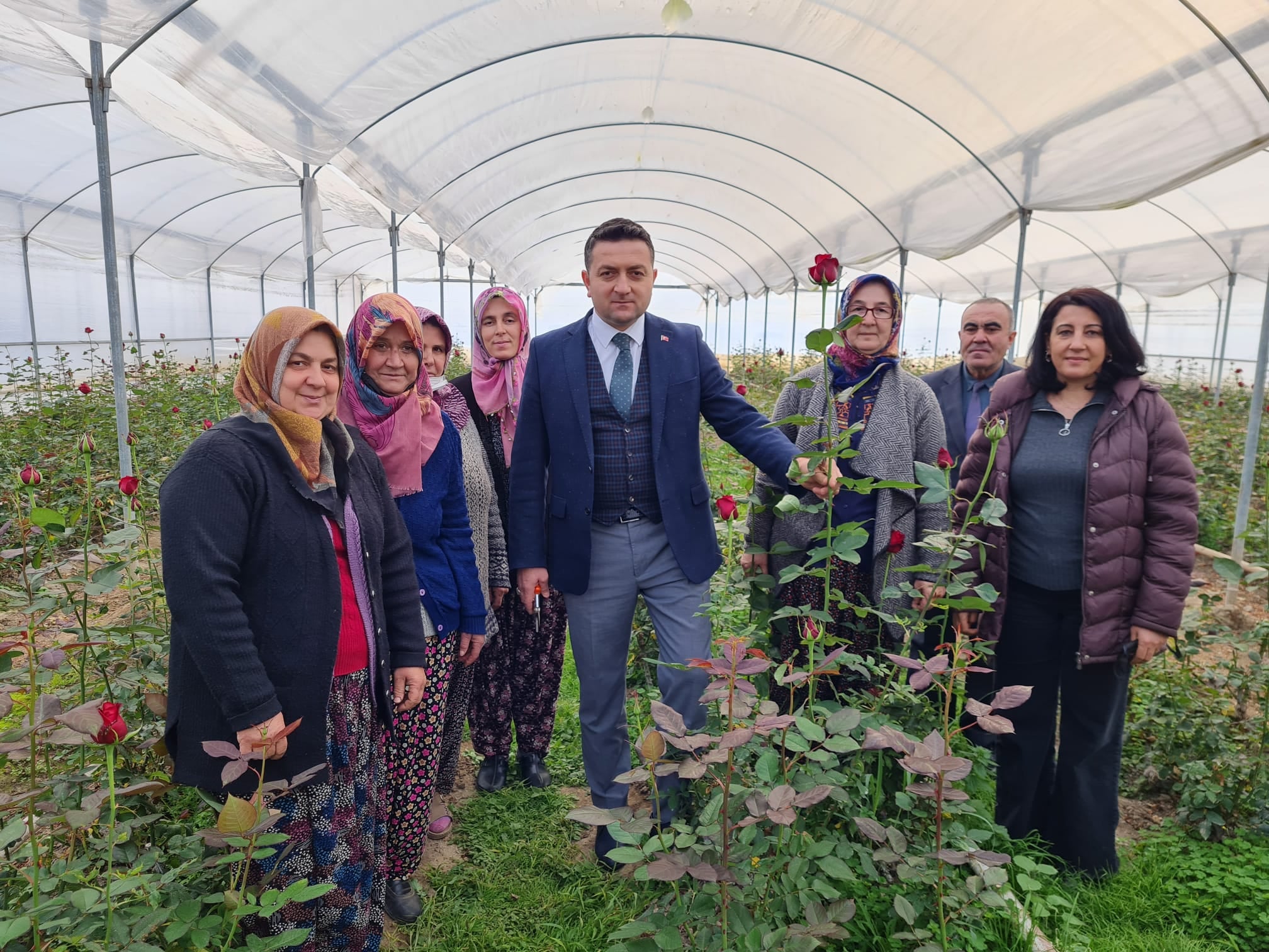 İl Tarım Müdürü İlmeç gül serasına ziyaret