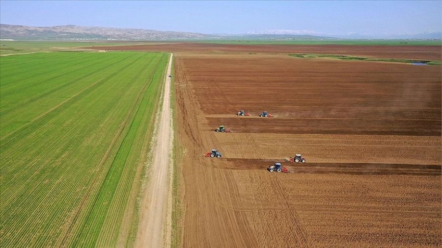 Haziran ayında yıllık yüzde 134,96, aylık yüzde 7,92 arttı