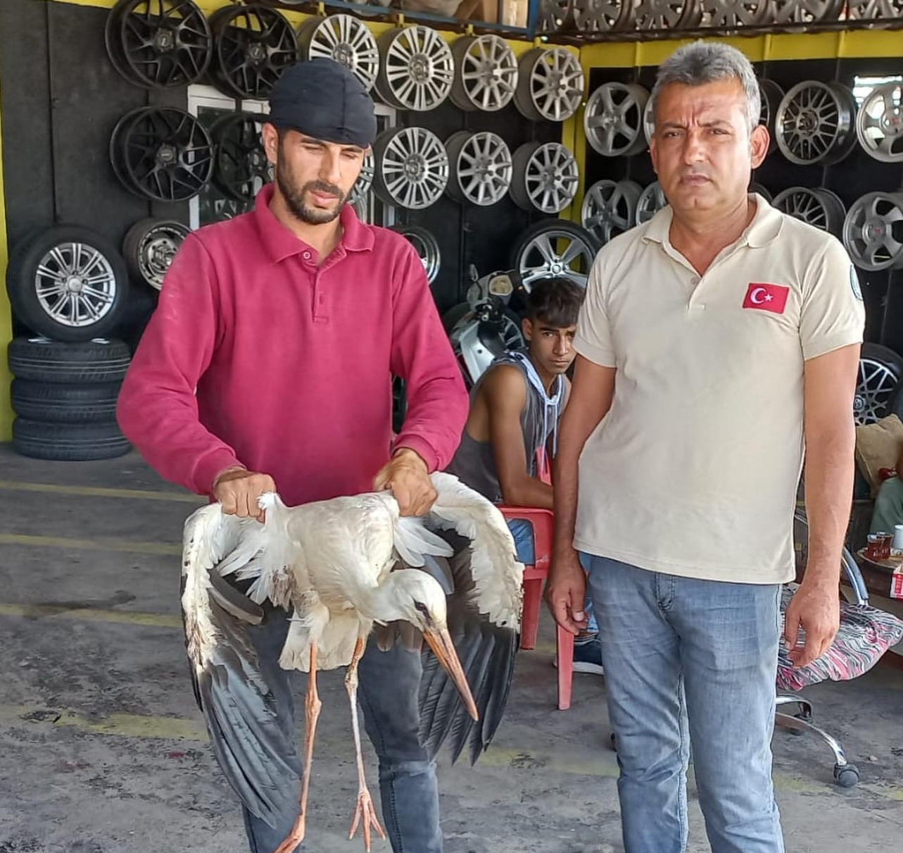 Yaralı Hayvanlar, DKMP ekiplerine teslim ediliyor