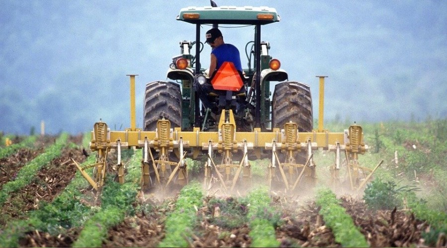 Çiftçilere elektrik faturaları hasat elde edildikten sonra ödenebilecek