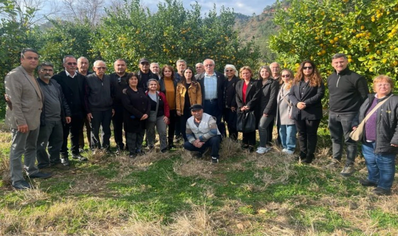 Muğla Milletvekili Özcan: ”Bu sene limon dalında kaldı”