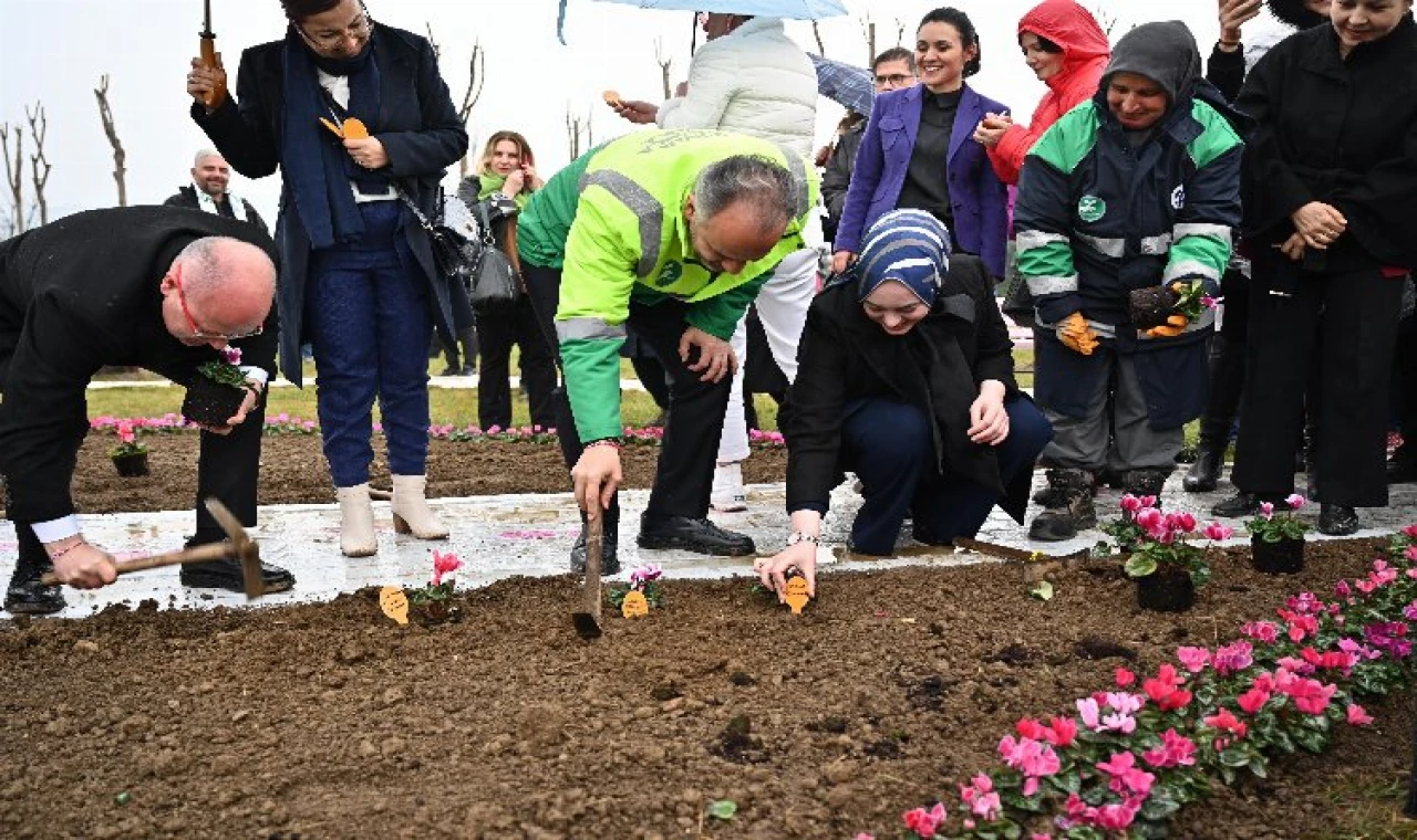 Bursa’da erguvan fidanları toprakla buluştu