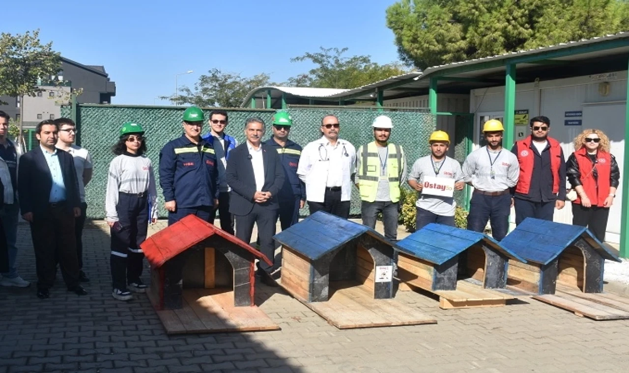 Bursa Gemlik’te patili canlar koruma altında