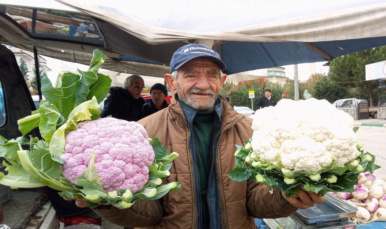 Bursa Yenişehir’de mor karnabahar ’Pazar’ın gözdesi