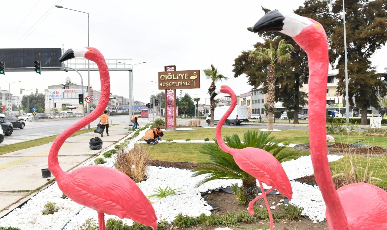 İzmir Çiğli’de ziyaretçileri flamingolar karşılıyor