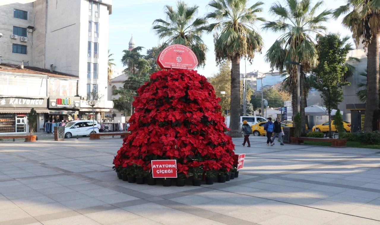 Kocaeli ’Atatürk Çiçeği’ ile süsleniyor... Atatürk 1086 Atatürk çiçeği ile anılacak