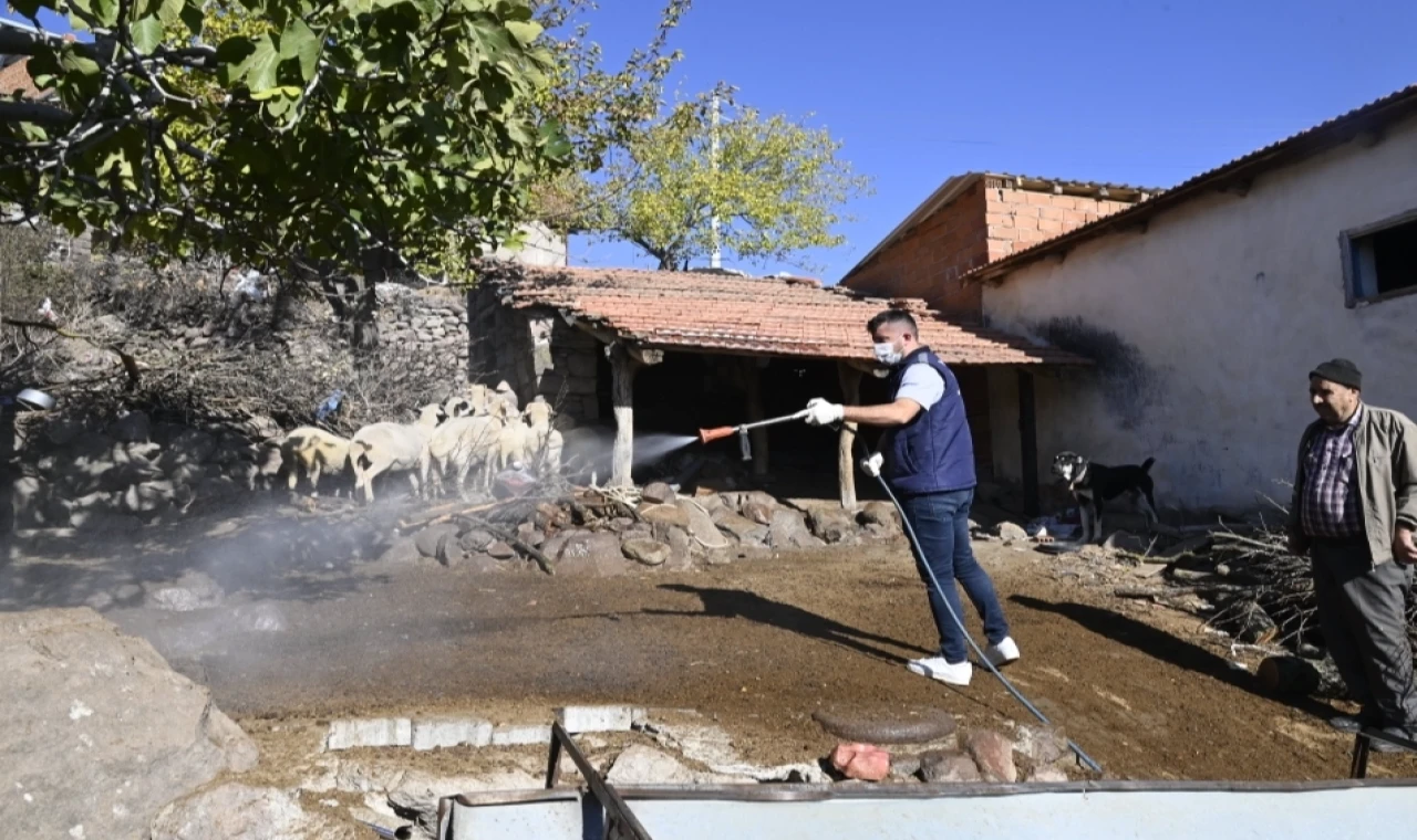 Manisa’da mavi dil hastalığıyla mücadele kapsamında 111 mahalle ilaçlandı