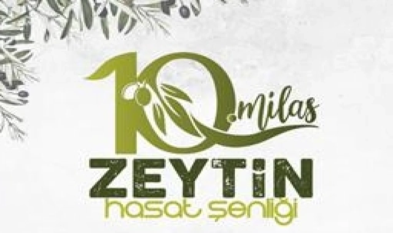 Milas’ta zeytin hasat şenliği için geri sayım başladı