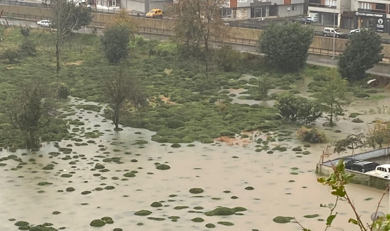 Rize Çayeli’nde heyelan! CHP: Bu tür afetler kader değil, basiretsizliktir!