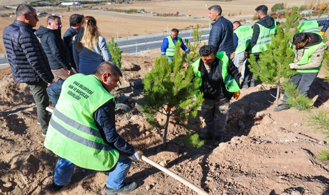 Sivas’ta mevsimlik işçiler adına hatıra ormanı