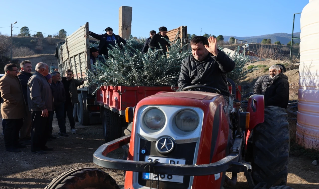 Eskişehir’de zeytincilik yaygınlaştırılacak... 17 bin Gemlik zeytin fidanı dağıtıldı