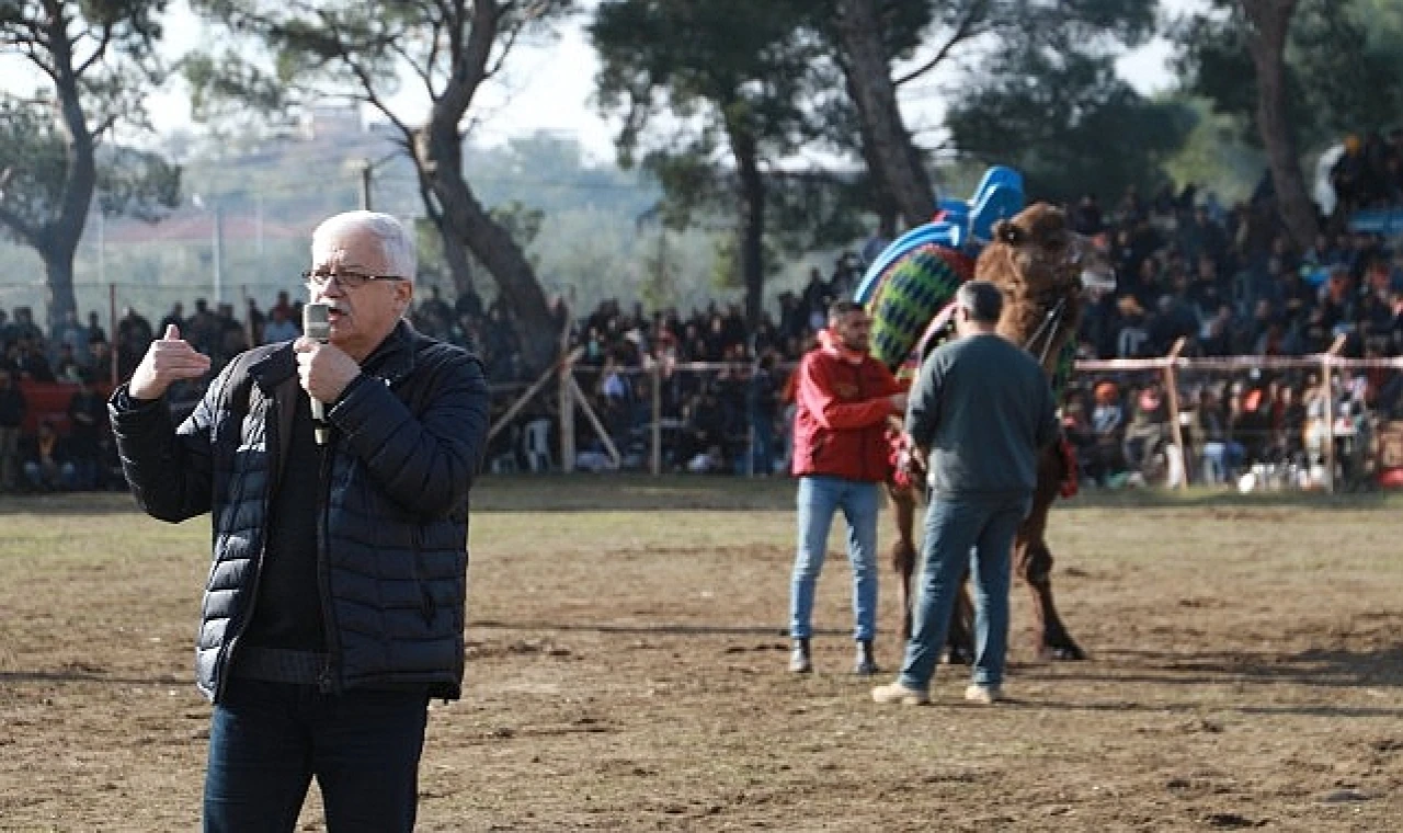 Pelitköy Deve Güreşleri İçin Geri Sayım Başladı