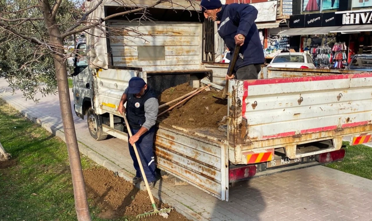 Bursa Gemlik’te çevre düzenleme çalışmaları devam ediyor