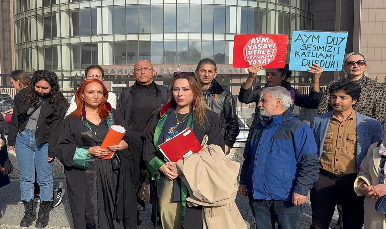 İstanbul Bakırköy’de köpeğe istismar davası sonuçlandı!