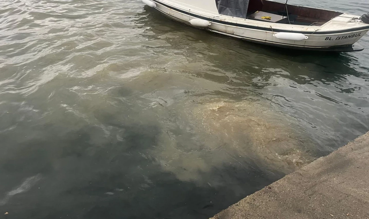 İstanbul Üsküdar’da atık su deşarjına inceleme!