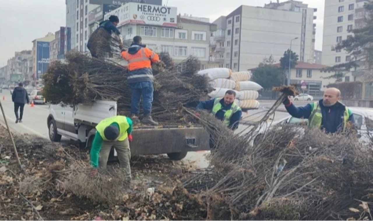 Kayseri Büyükşehir ’yeşil Kayseri’ için çalışıyor