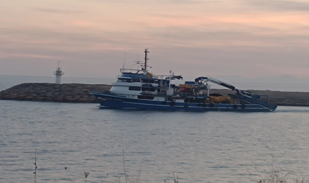 Saros’ta gırgır tekneleri tonlarca balık avlıyor