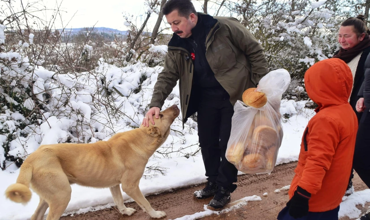 Bursa Yenişehir’de yaban hayatına ’kış’desteği!