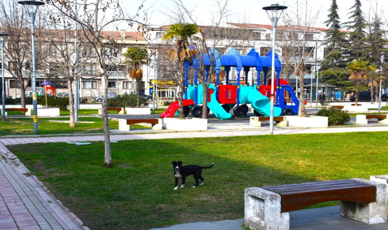 Gemlik’in parklarda çevresi değişiyor