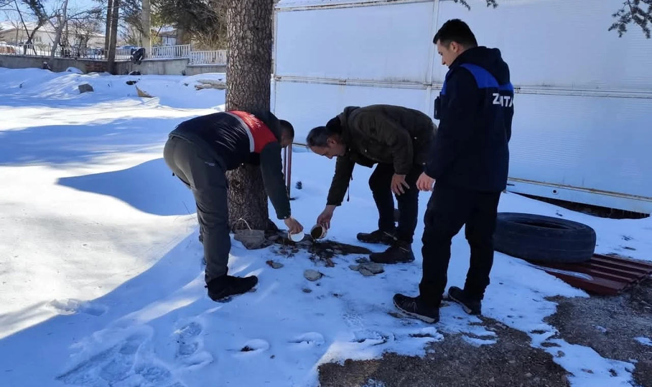 Malatya’da sokak hayvanları unutulmadı