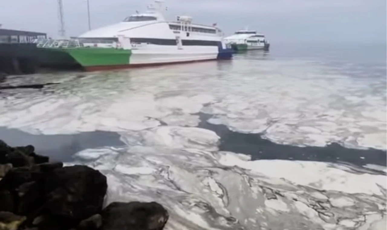 Marmara’nın çığlığına Bursa’dan ses oldular! Başkan Bozbey: Duymazdan gelemeyiz