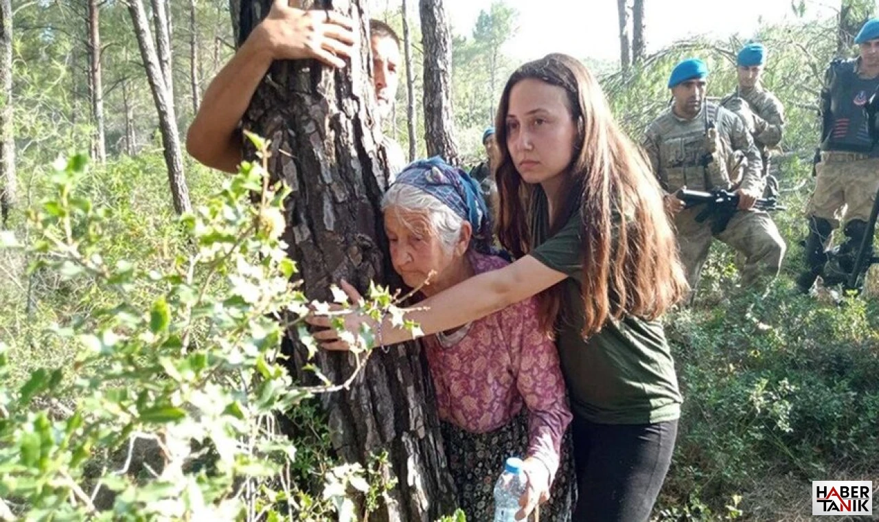 Şirketler Zeytin Yasasını Değiştirmeye mi Çalışıyor?