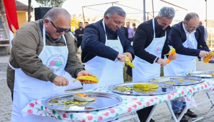 Bilecik’te Kızıldamlar Kestane Kabağı Festivali yapıldı