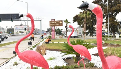 İzmir Çiğli’de ziyaretçileri flamingolar karşılıyor