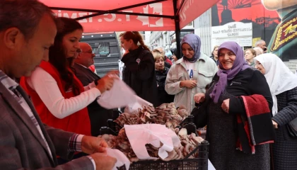 İzmit’te hasatın bereketi sürüyor... 850 kilo istiridye mantarı dağıtıldı