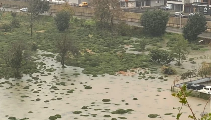 Rize Çayeli’nde heyelan! CHP: Bu tür afetler kader değil, basiretsizliktir!