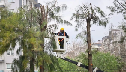 İzmir Bornova’da kışa hazırlık başladı