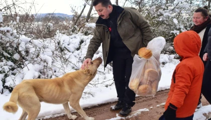 Bursa Yenişehir’de yaban hayatına ’kış’desteği!