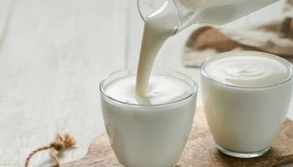 Ayran ve kefir üretimi arttı