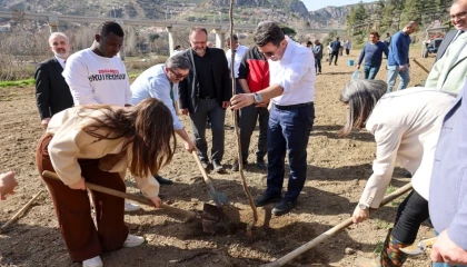 Bilecik Valisi üniversitelilerle fidan dikti